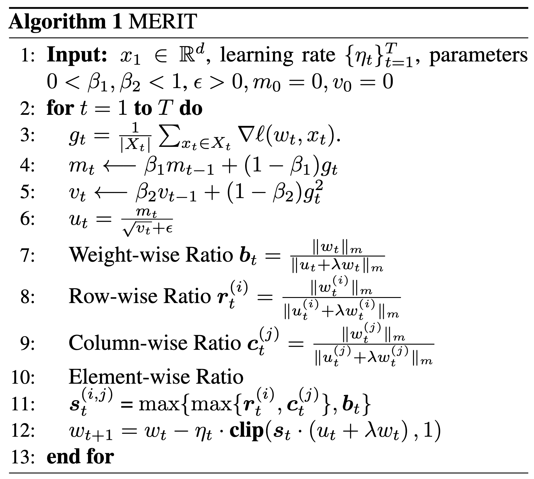 MERIT Optimizer